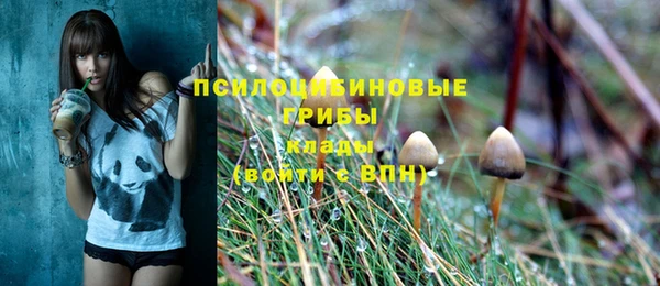 прущие крисы Лабытнанги