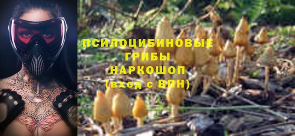 прущие крисы Лабытнанги