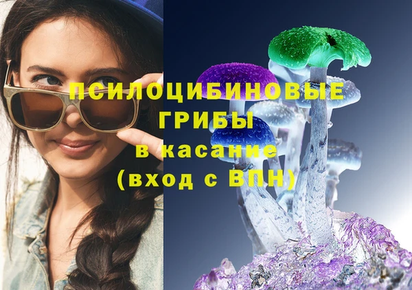 прущие крисы Лабытнанги