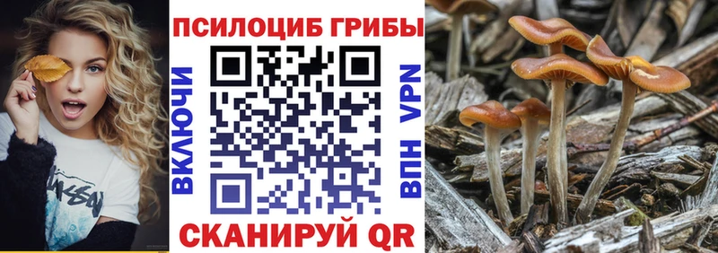 Псилоцибиновые грибы MAGIC MUSHROOMS  Купить закладки  Шимановск 